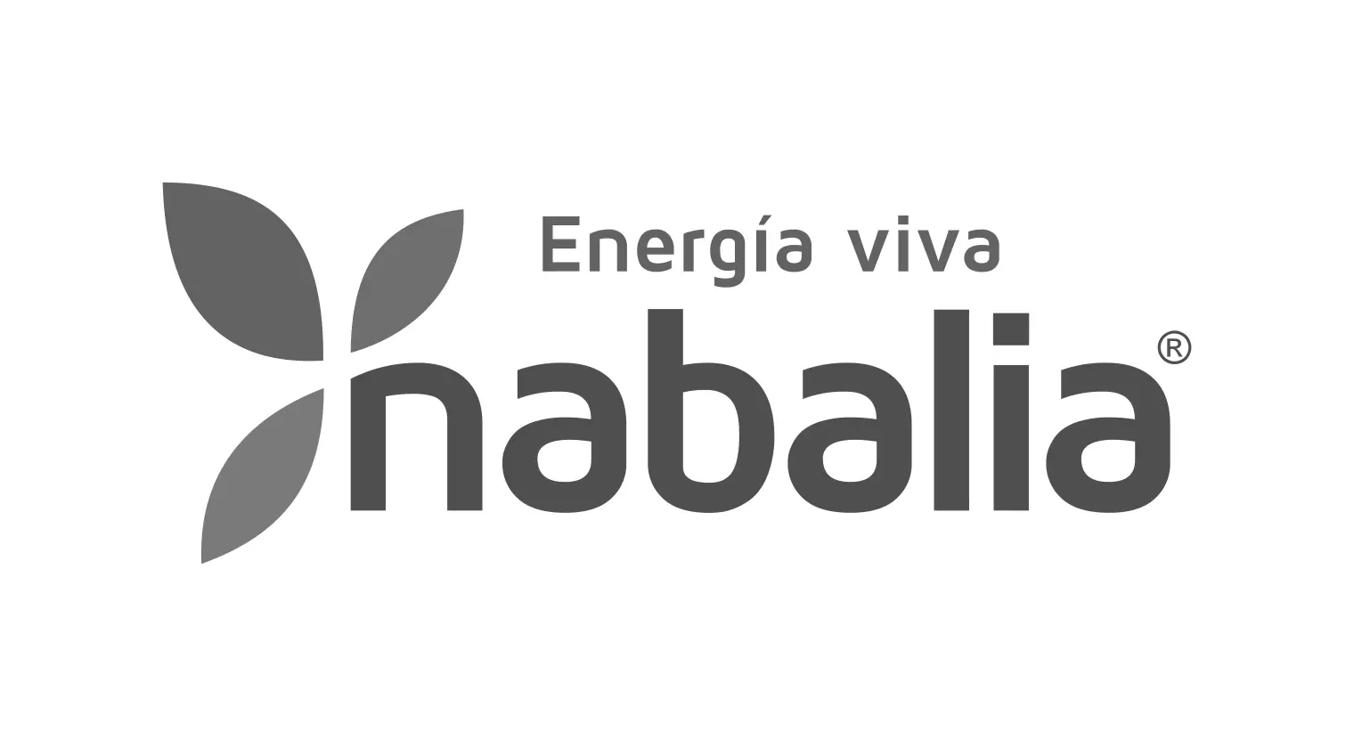 Nabalia Energía